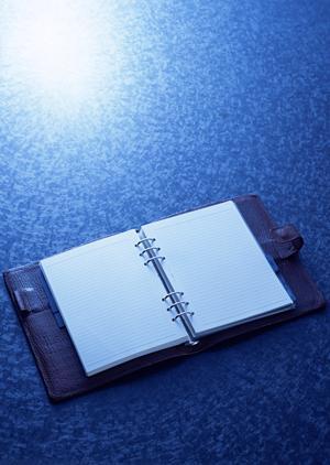 ガチャガチャの森:多彩なコレクションと遊び心いっぱいの店舗紹介